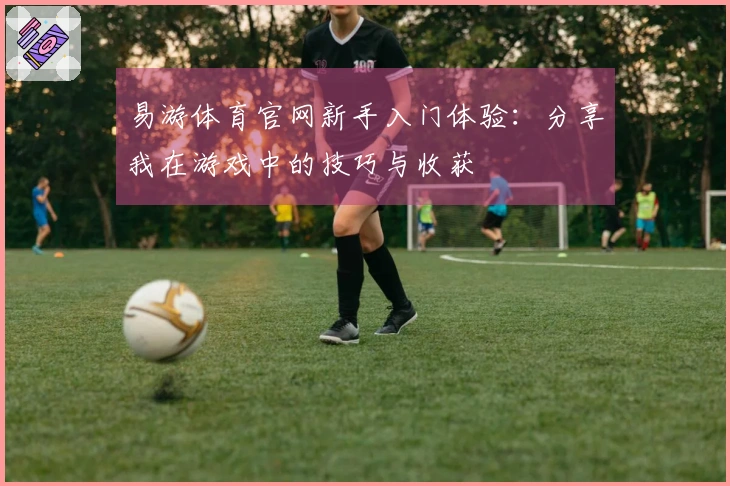 易游体育官网新手入门体验：分享我在游戏中的技巧与收获