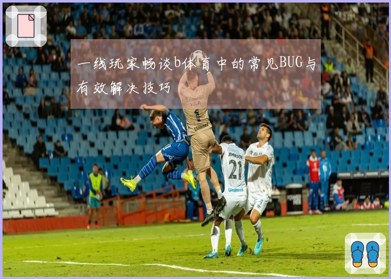 一线玩家畅谈b体育中的常见BUG与有效解决技巧