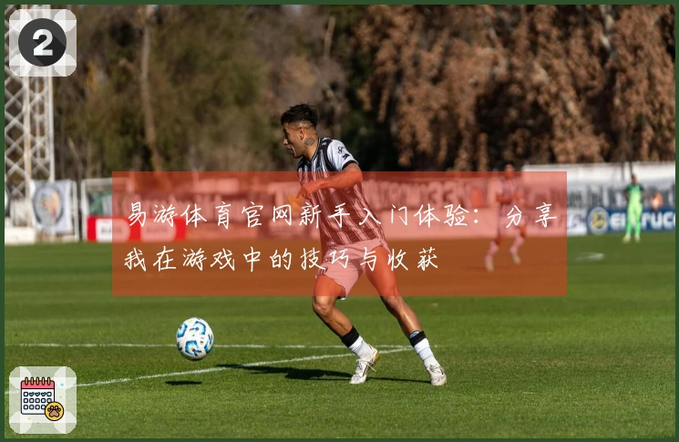 易游体育官网新手入门体验：分享我在游戏中的技巧与收获