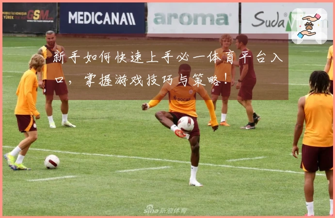 新手如何快速上手必一体育平台入口，掌握游戏技巧与策略！